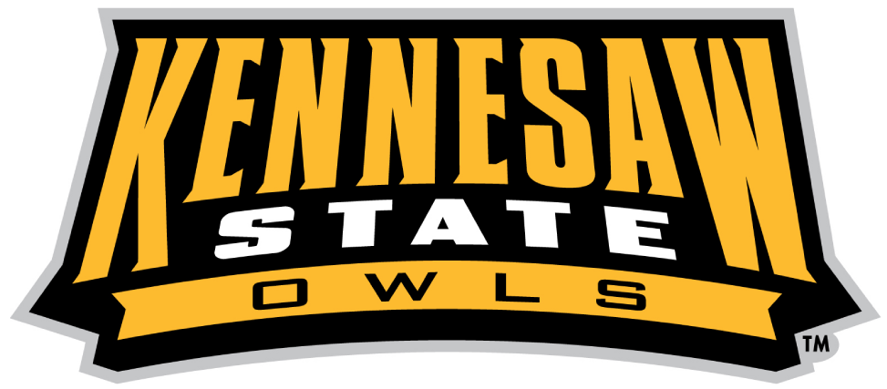 Kennesaw State Owls 2012-Pres Wordmark Logo v2 iron on transfers for clothing
